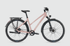 Tour de Suisse Speed Trekking Cues 20G