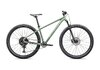 Specialized Rockhopper Comp Gloss Pistachio / White Mountains XXL - 29