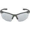 ALPINA Sports TWIST FIVE HR moon-grey matt V