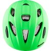ALPINA Sports XIMO LE green matt 49-54